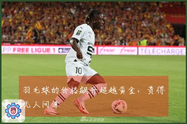 羽毛球的价格飙升超越黄金，贵得无人问津