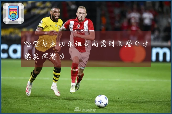 哈登与米切尔组合尚需时间磨合才能发挥潜力