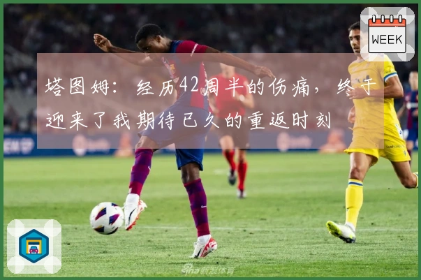 塔图姆：经历42周半的伤痛，终于迎来了我期待已久的重返时刻